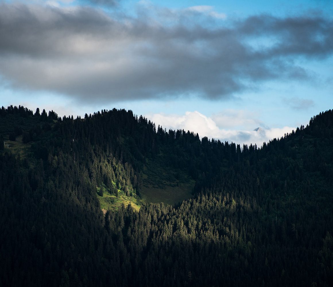 c6jza0b4q8q-olivier-miche