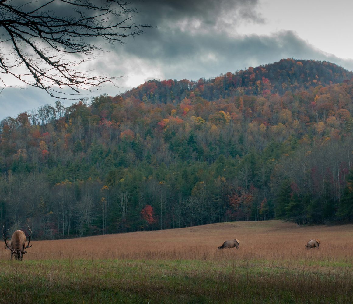 eqjaxgr1pmc-jordan-whitt eqjaxgr1pmc-jordan-whitt