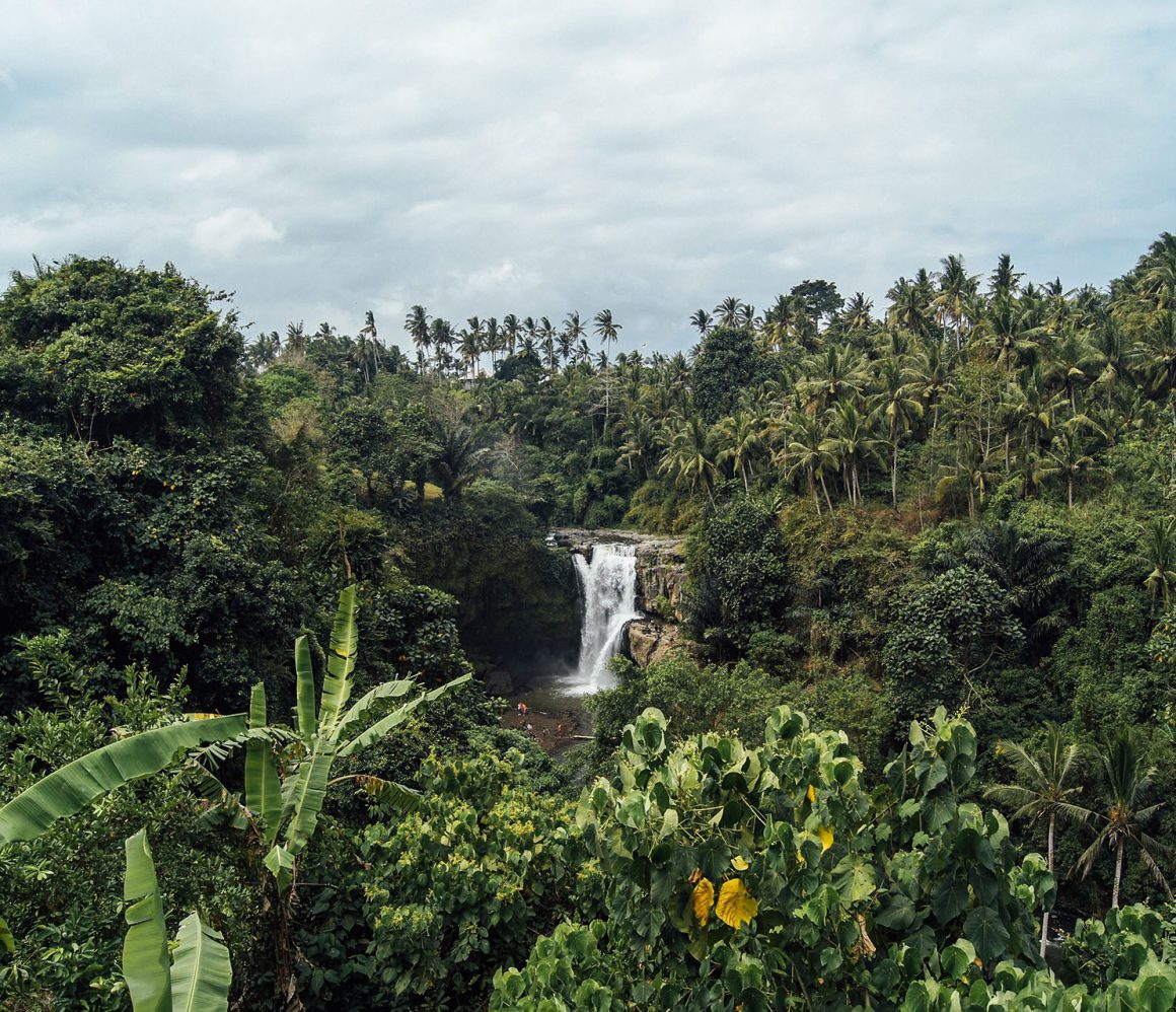 hpeyuy6sruw-levi-morsy hpeyuy6sruw-levi-morsy