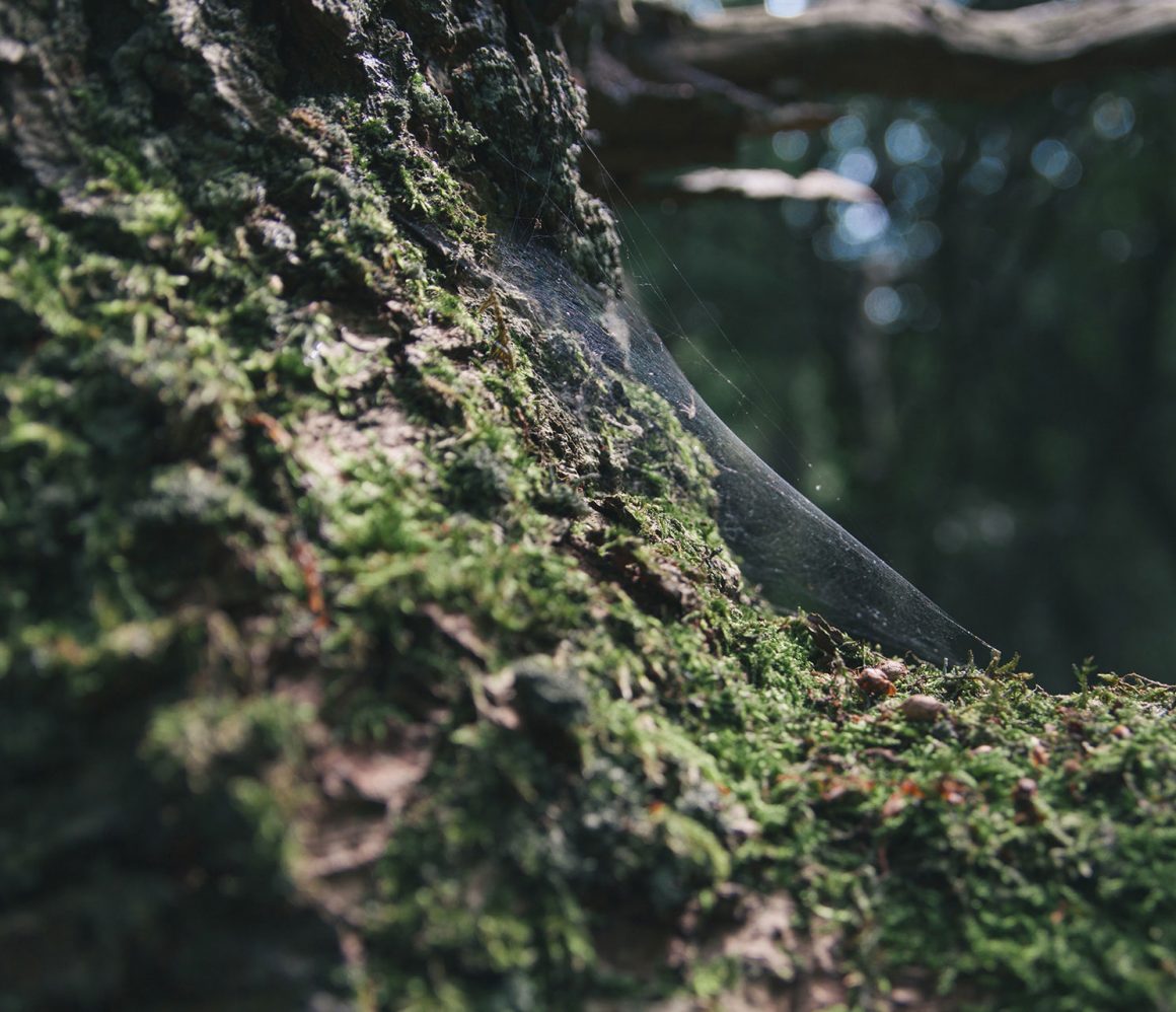 ixhfyja49m8-davey-heuser ixhfyja49m8-davey-heuser