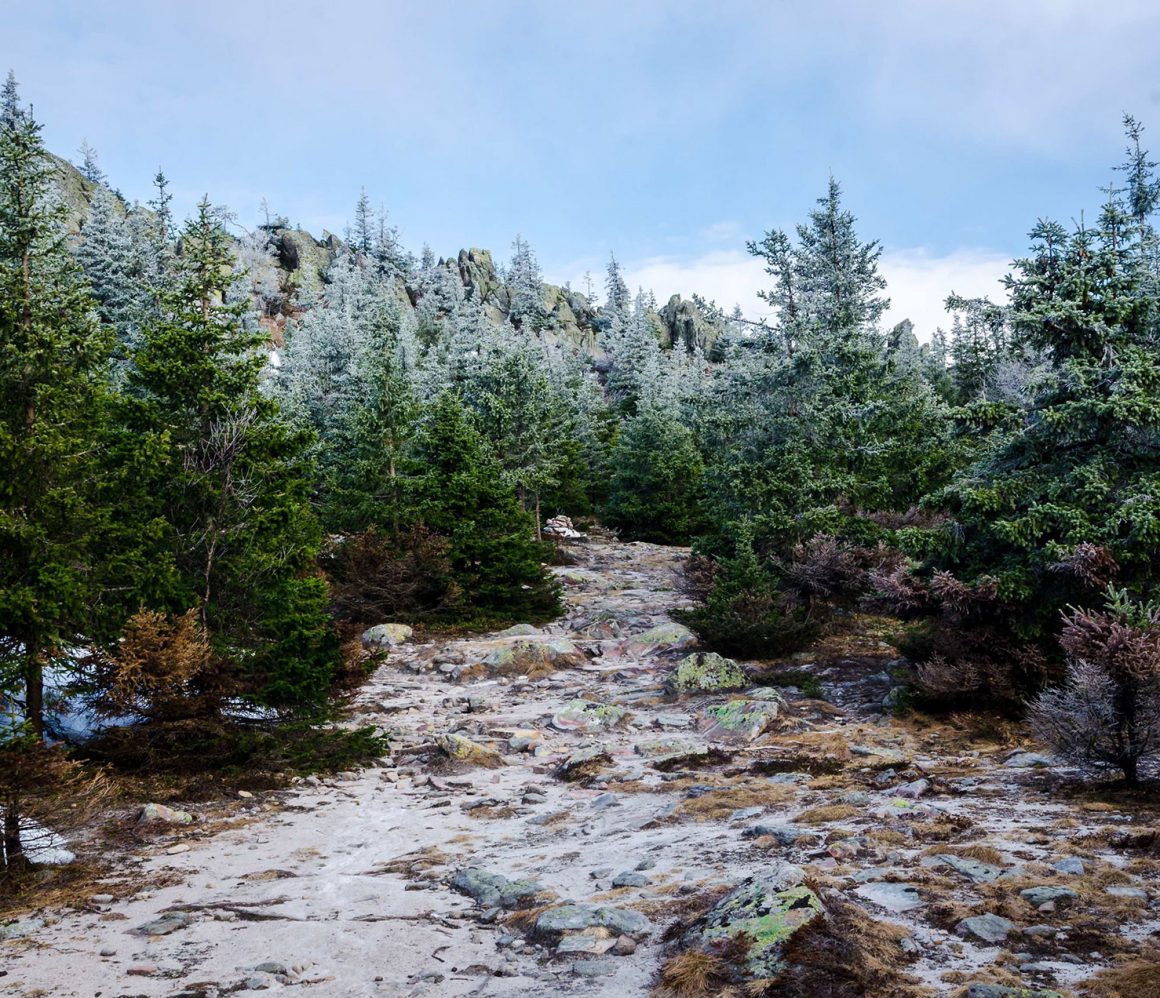 kxtqevwxdt4-daniil-silantev kxtqevwxdt4-daniil-silantev