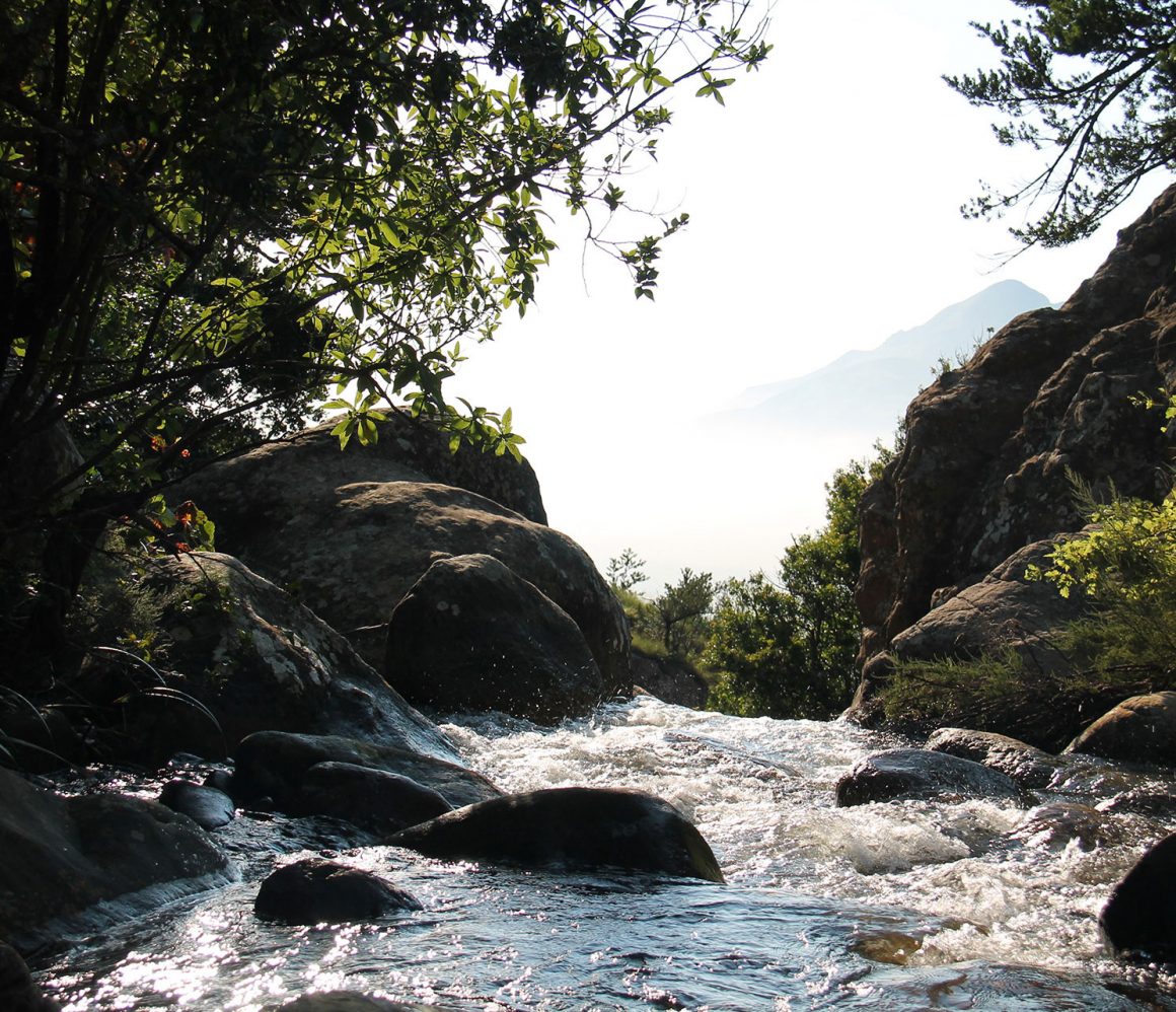 lrsy9fwftl0-phil-houston lrsy9fwftl0-phil-houston