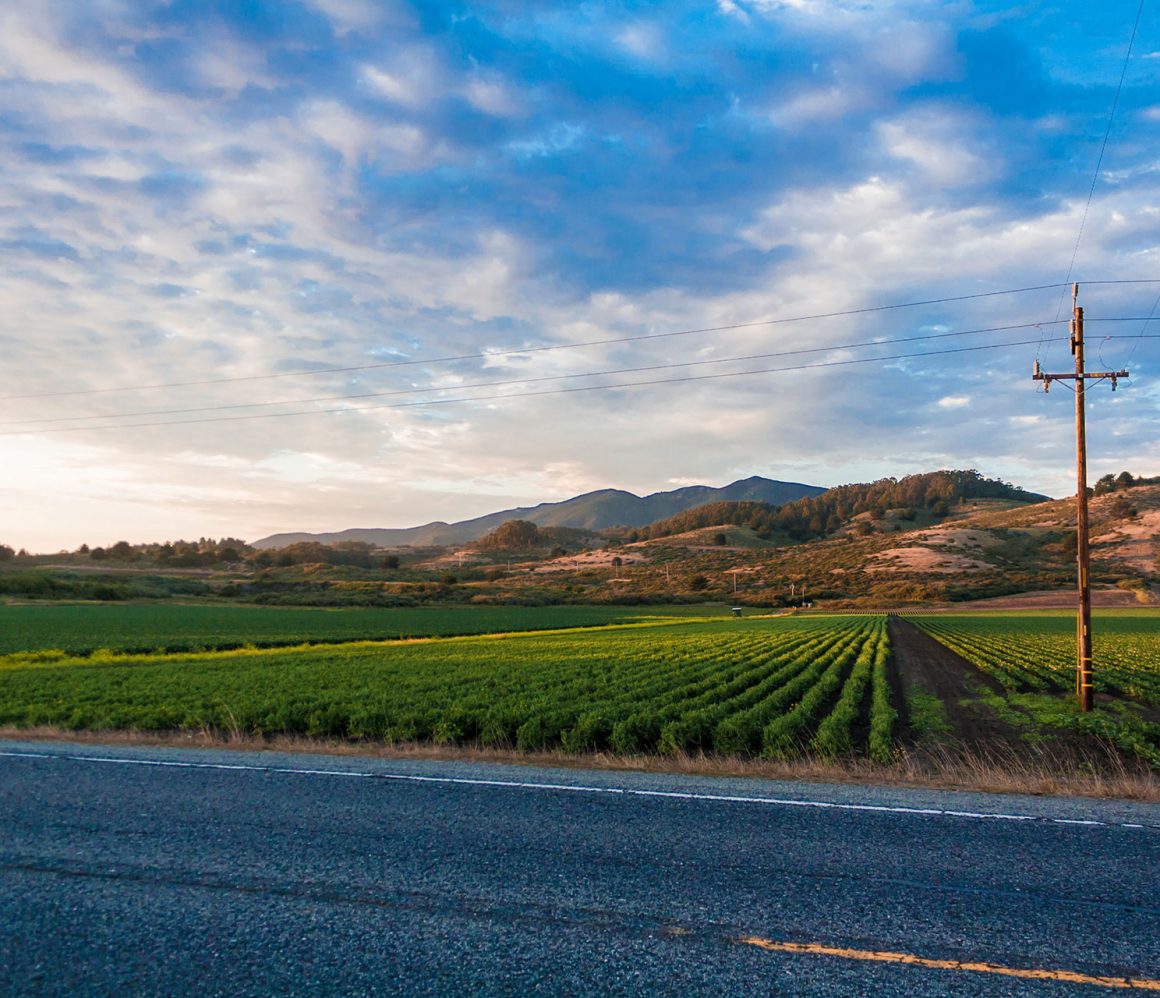 h4zsa61xjes-artur-pokusin