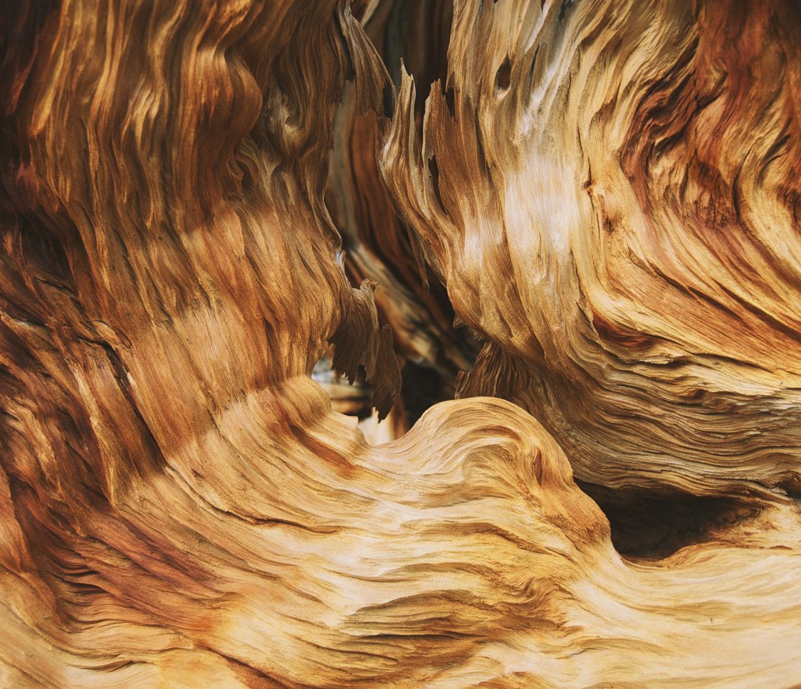 4kgtxwmelyw-andrew-collins 4kgtxwmelyw-andrew-collins