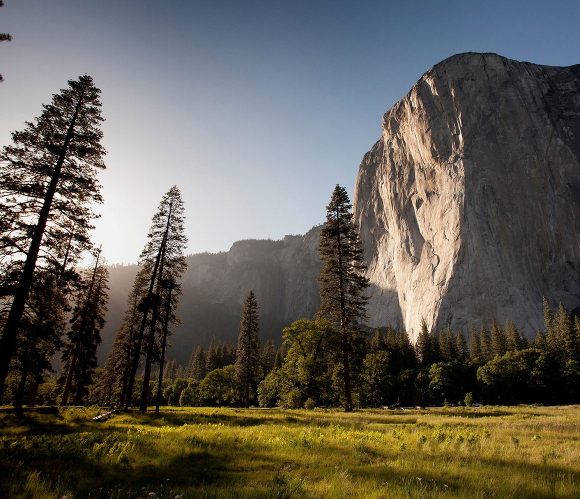 ndn00kmbj1c-adam-kool ndn00kmbj1c-adam-kool