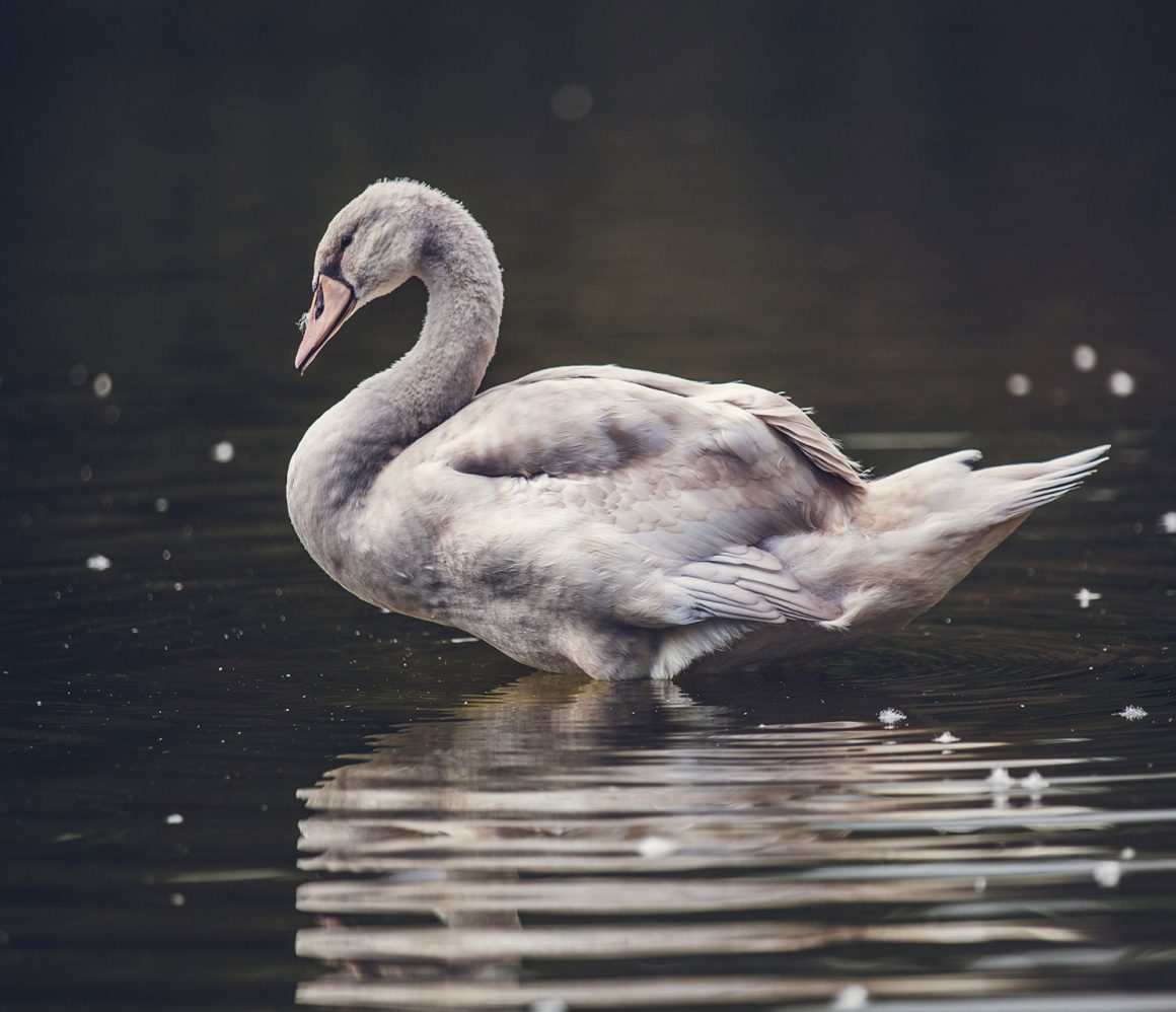 rxbvhorhnpk-matthew-henry rxbvhorhnpk-matthew-henry