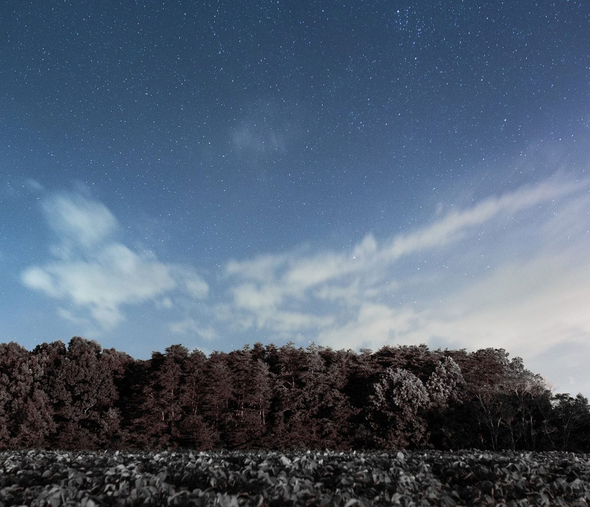 uupnvlltbu8-andrew-neel uupnvlltbu8-andrew-neel