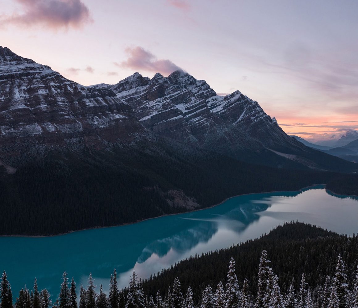 1k5qq4yqm0g-mark-basarab