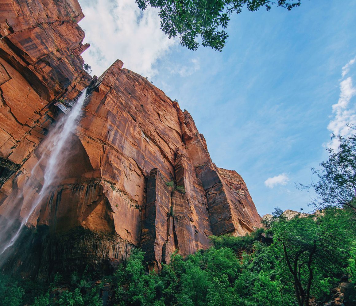 phanr-cpbym-wil-stewart phanr-cpbym-wil-stewart