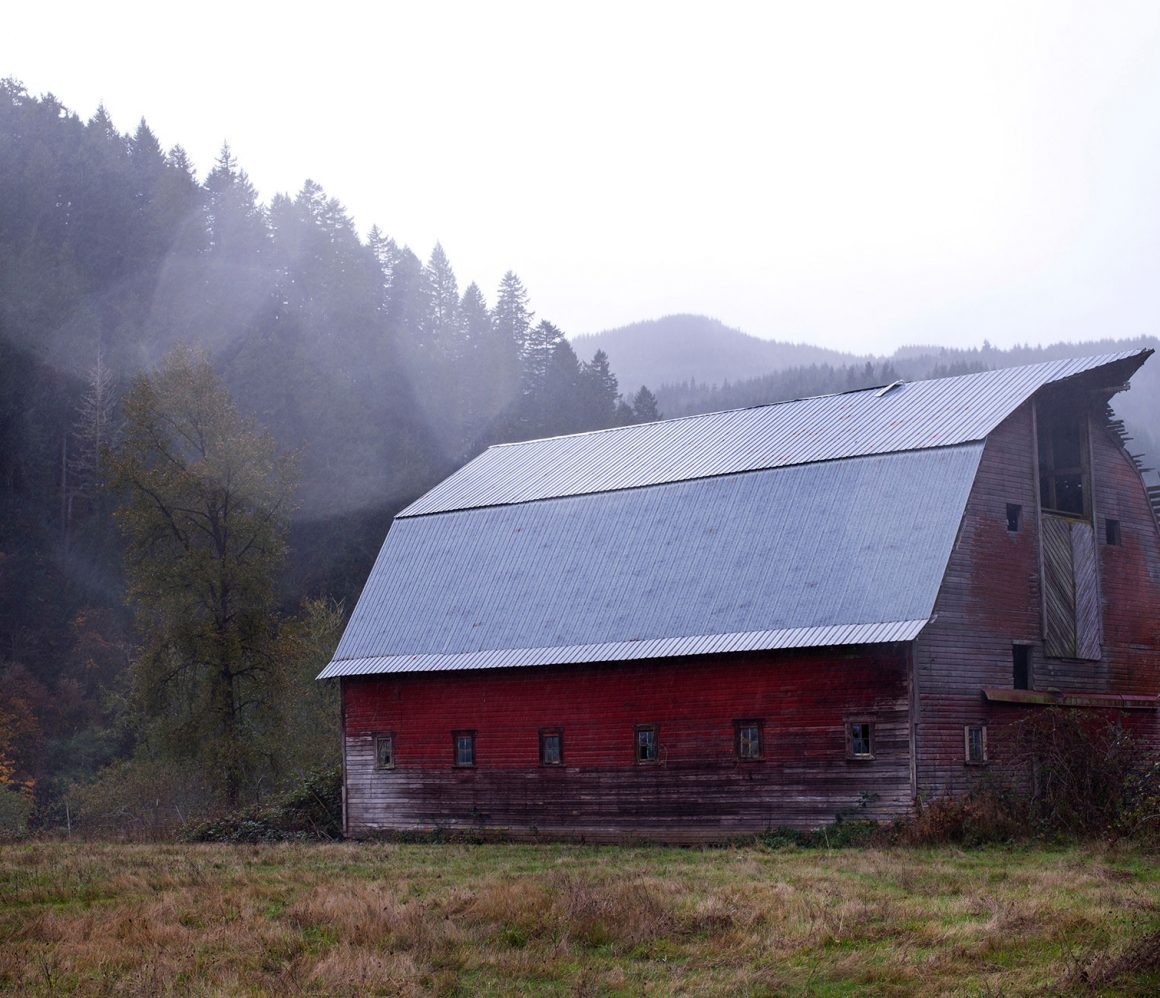 xeslu3w3wqc-tim-mossholder