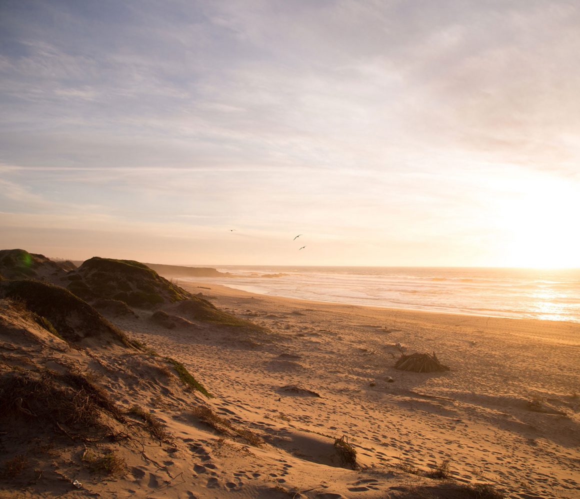 bjbxvz-uyc-jordan-mcqueen bjbxvz-uyc-jordan-mcqueen