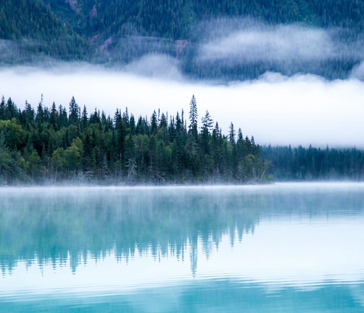 lulijc1cdo-kalen-emsley lulijc1cdo-kalen-emsley