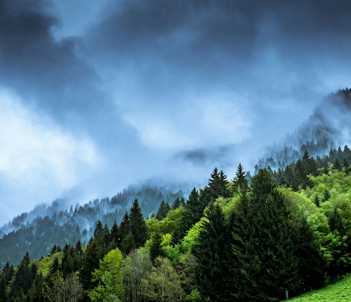 lvdnluaci18-guy-bowden lvdnluaci18-guy-bowden