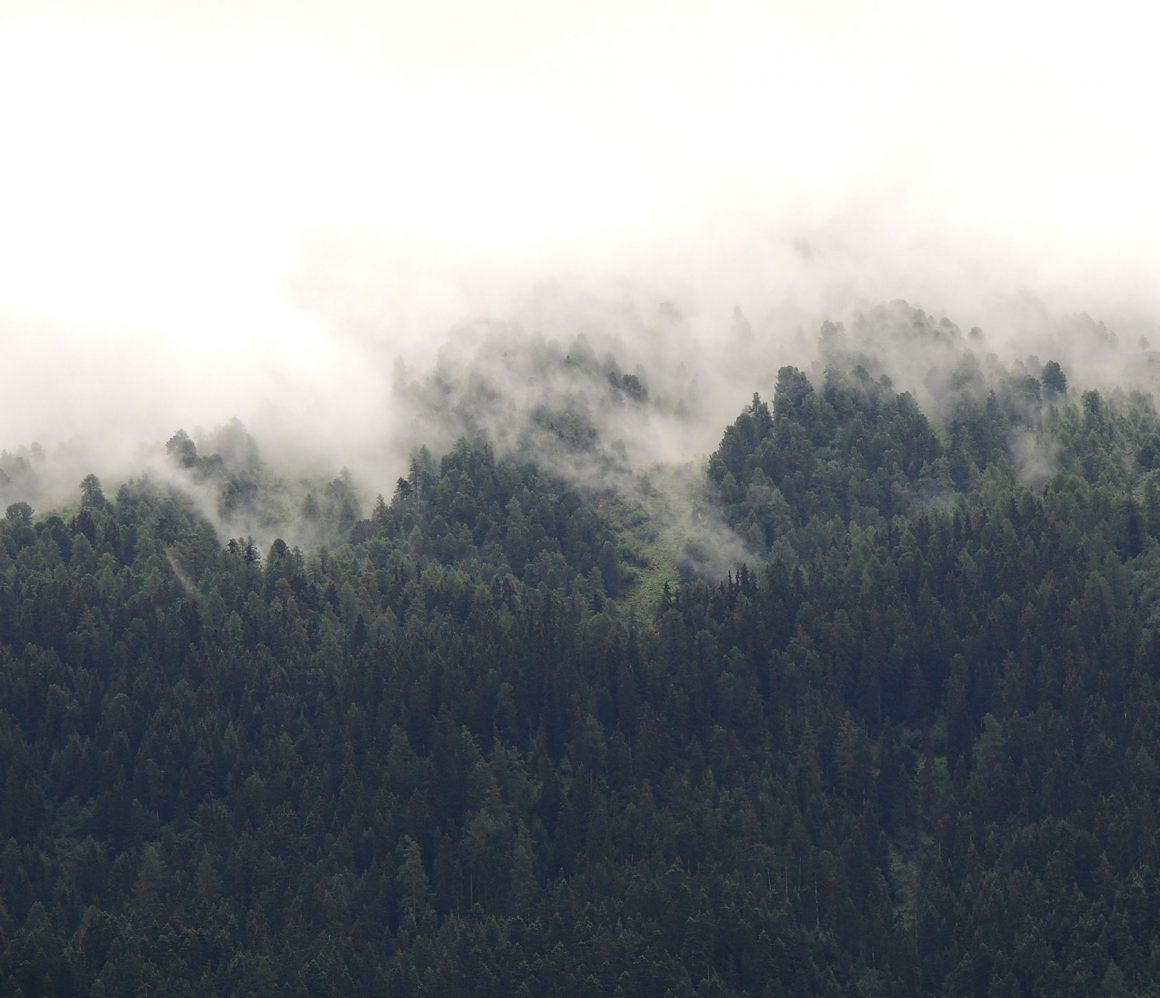 ra6vbivis2y-thomas-tixtaaz ra6vbivis2y-thomas-tixtaaz