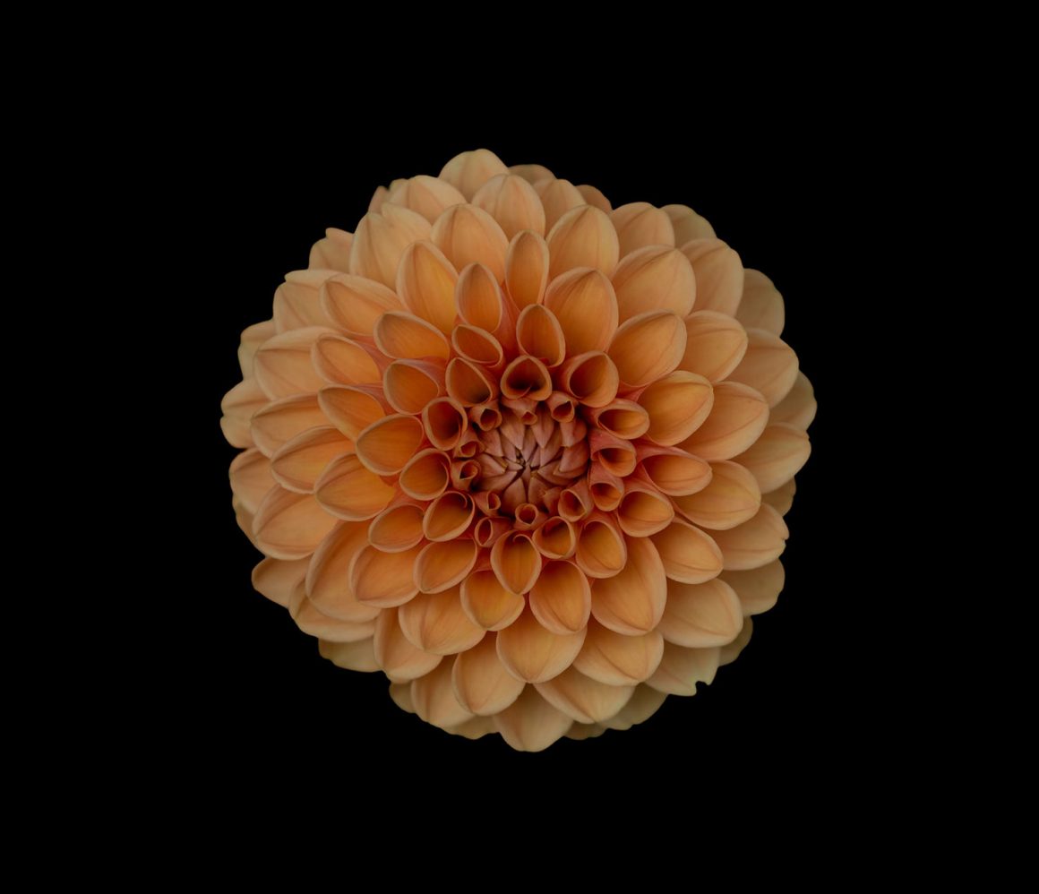 xk_igfdkhmy-alex-blajan xk_igfdkhmy-alex-blajan